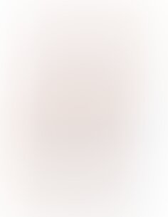 Vibromasseur Réaliste DR Skin N°2 - 22,5 cm