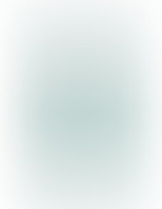 Straight Realistic Dildo Suction Cup - 9'' / 23 - Tur