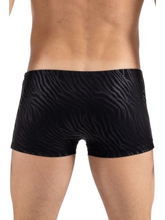 Boxer noir & gold Zebra - LM2403-67BLK