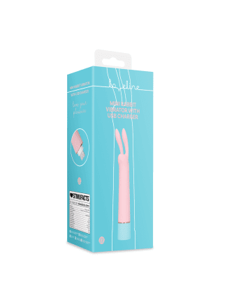 Mini Rabbit Vibrator with USB Charger - Cherry Chiffon