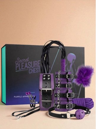 Coffret BDSM Purple Apprentice