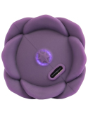 Plug anal vibrant avec télécommande et fleurs éternelles