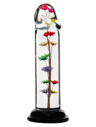 Dildo transparent avec...