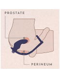 Plug prostatique avec anneaux pénien et testiculaires et vibromasseur rechargeable