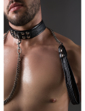 Collier-laisse Croco