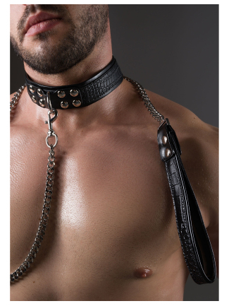 Collier-laisse Croco