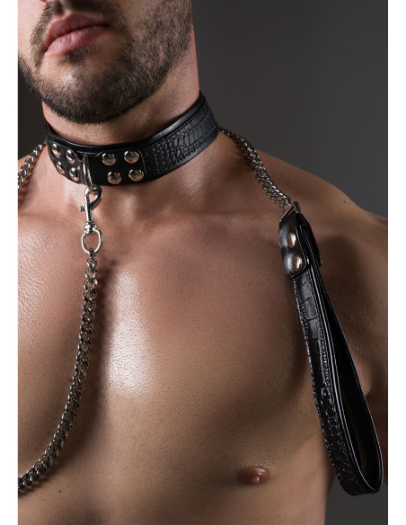 Collier-laisse Croco