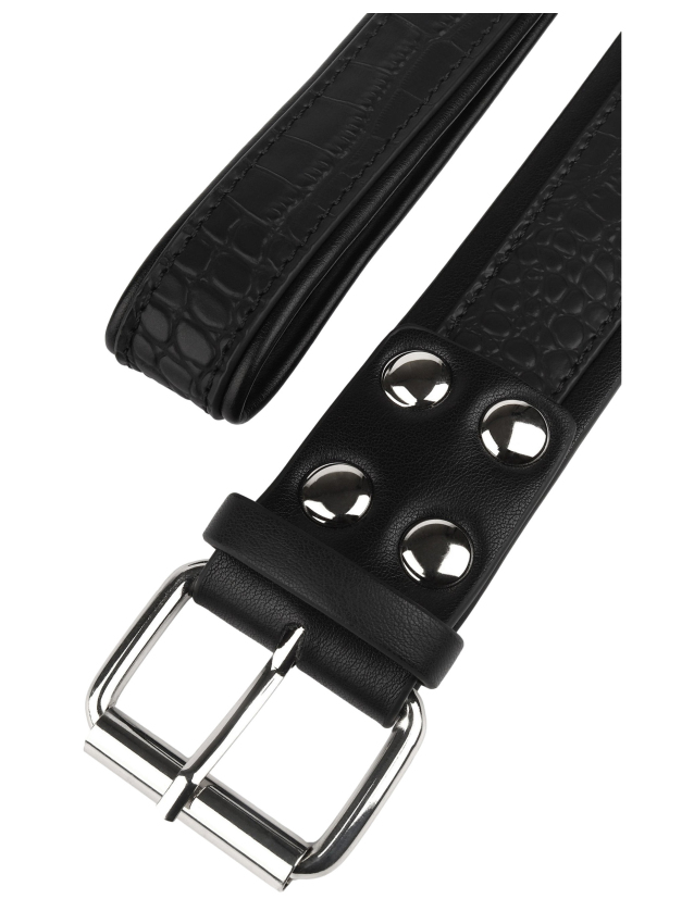 Collier-laisse Croco - vue 6