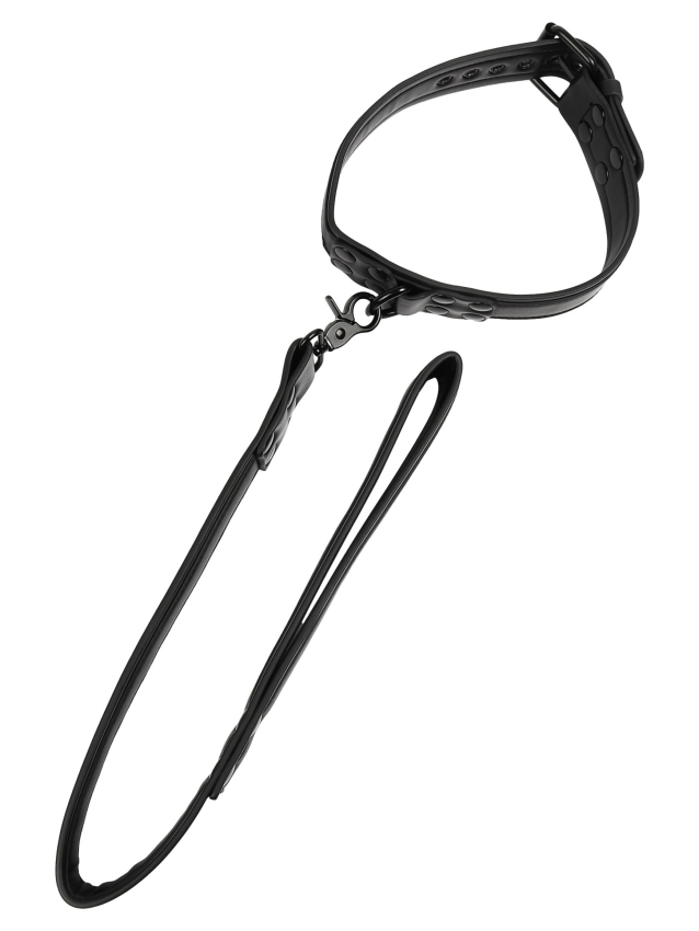 Collier-laisse Vantage - vue 2