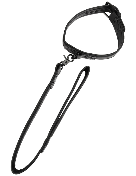 Collier-laisse Vantage - vue 2