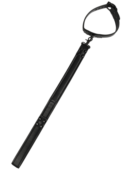 Collier-laisse Vantage - vue 3