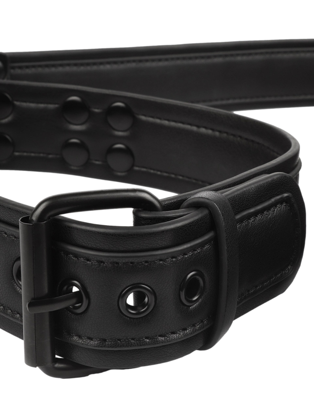 Collier-laisse Vantage - vue 5