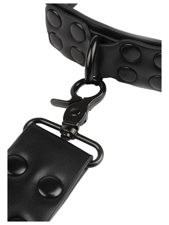Collier-laisse Vantage - vue 6