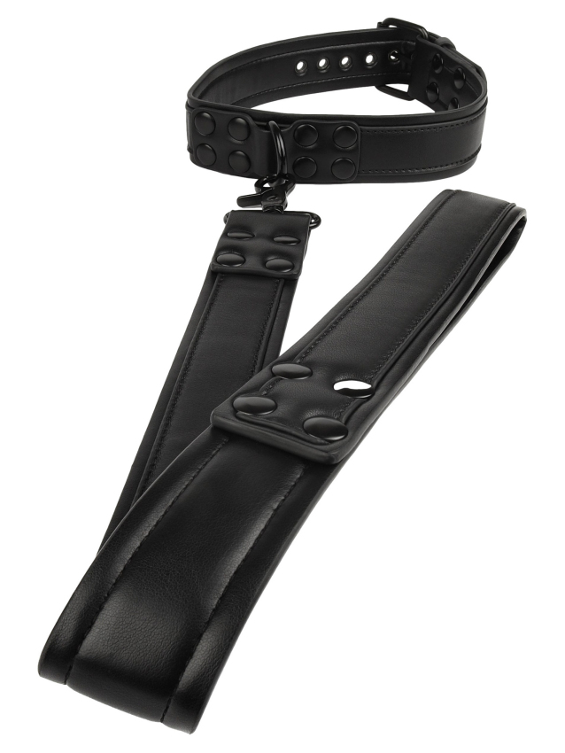 Collier-laisse Vantage - vue 7